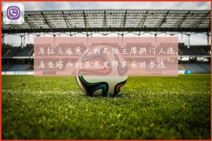 马拉戈成意大利足协主席热门人选马洛塔加利亚尼皮耶罗或将参选